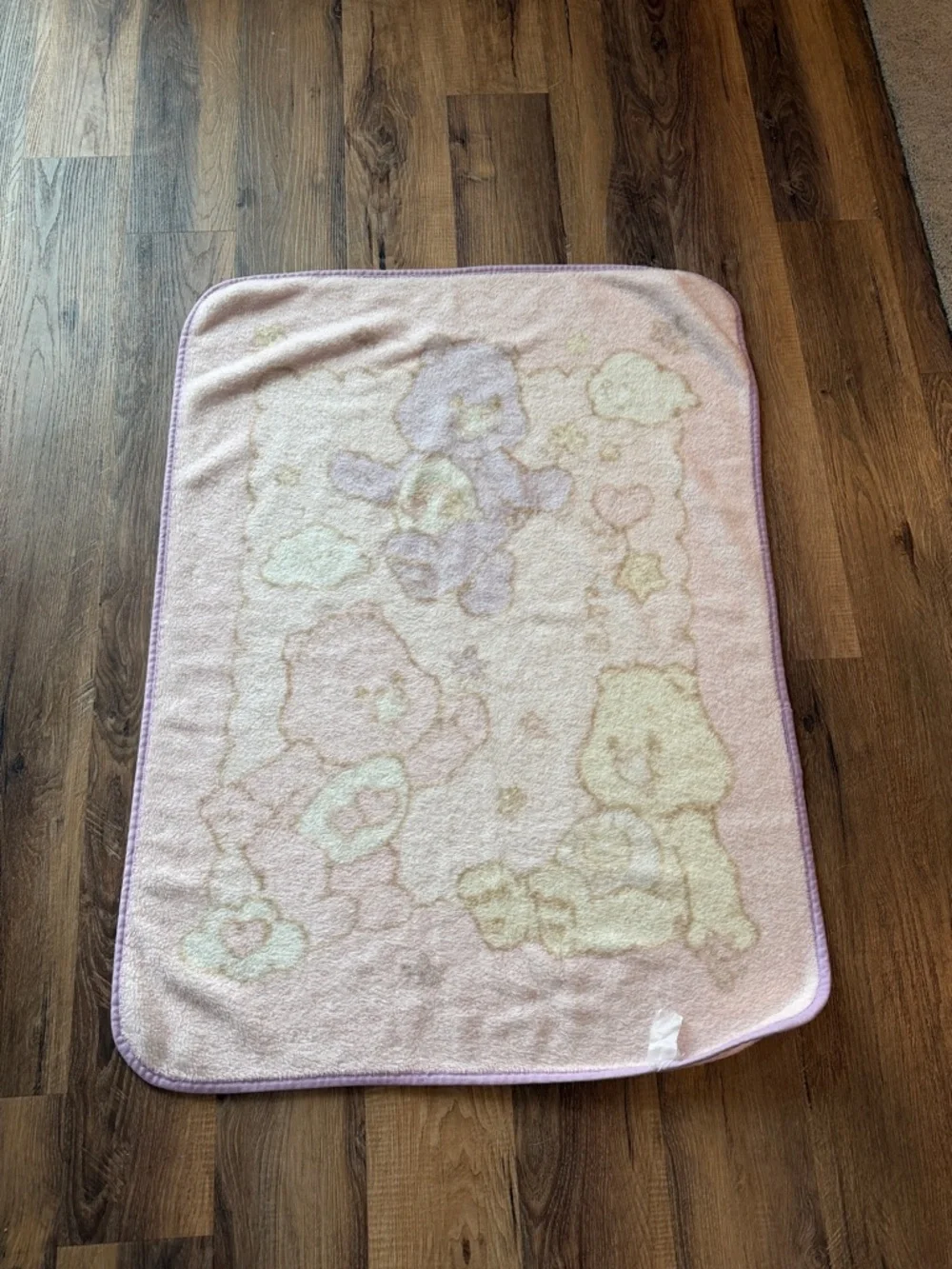 Care Bears Pastel Pink Plush Throw with Multicolor Bears pink